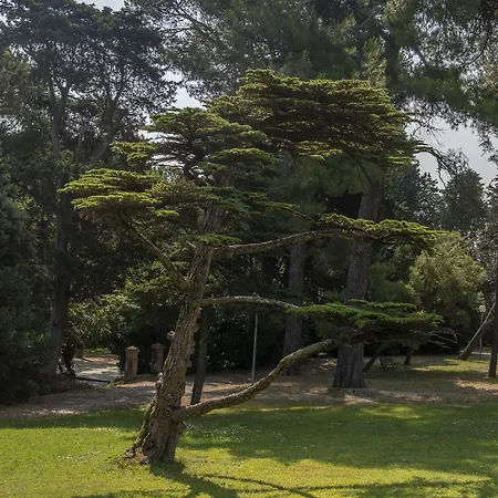 Tenuta Colle Sereno Alojamento de Acomodação e Pequeno-almoço Montemarciano