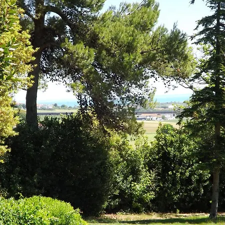 Frühstückspension Tenuta Colle Sereno 3*