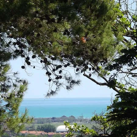 Tenuta Colle Sereno